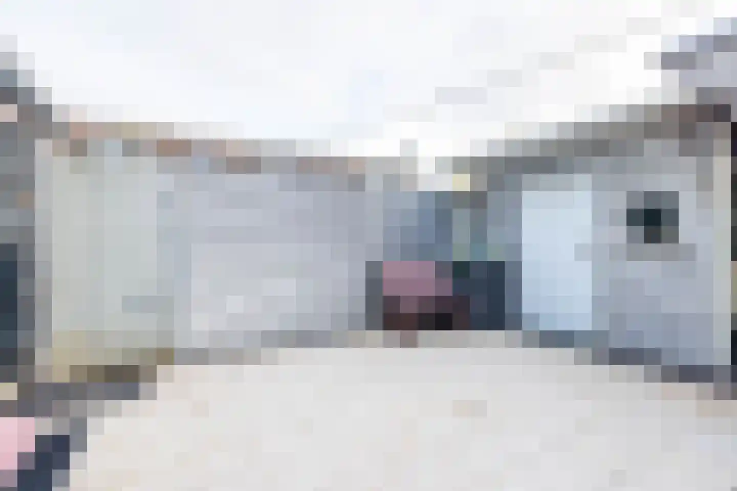 De Lamartinestraat 15 Rotterdam thumbnail 4