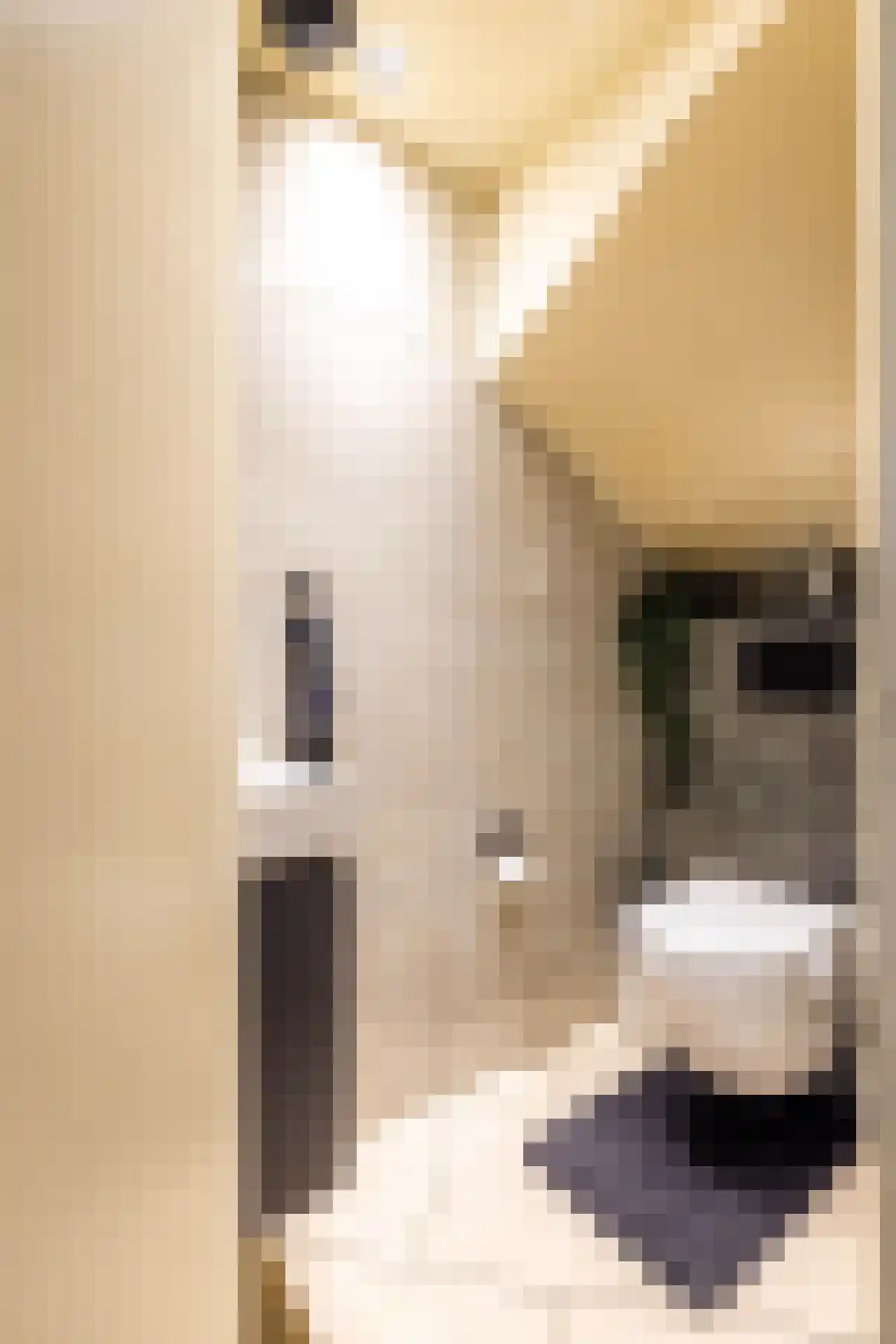 De Lamartinestraat 15 Rotterdam thumbnail 42