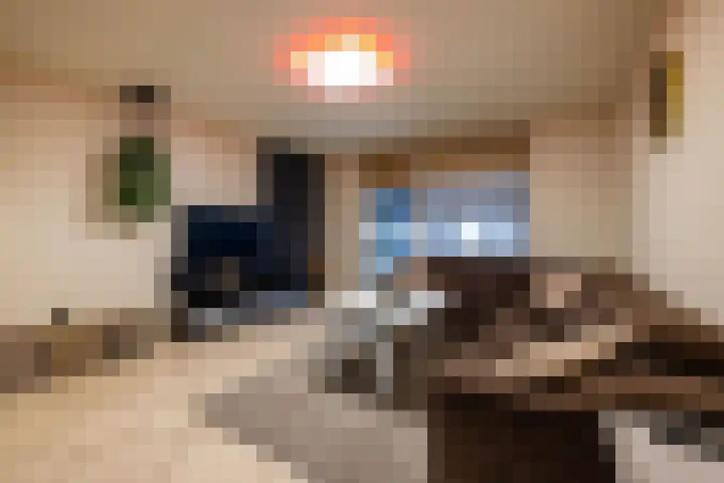 De Lamartinestraat 15 Rotterdam thumbnail 49