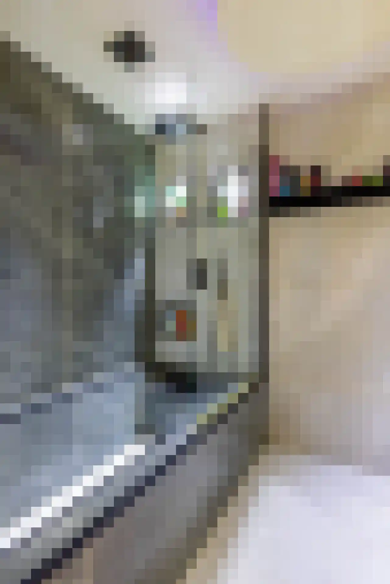 De Lamartinestraat 15 Rotterdam thumbnail 5