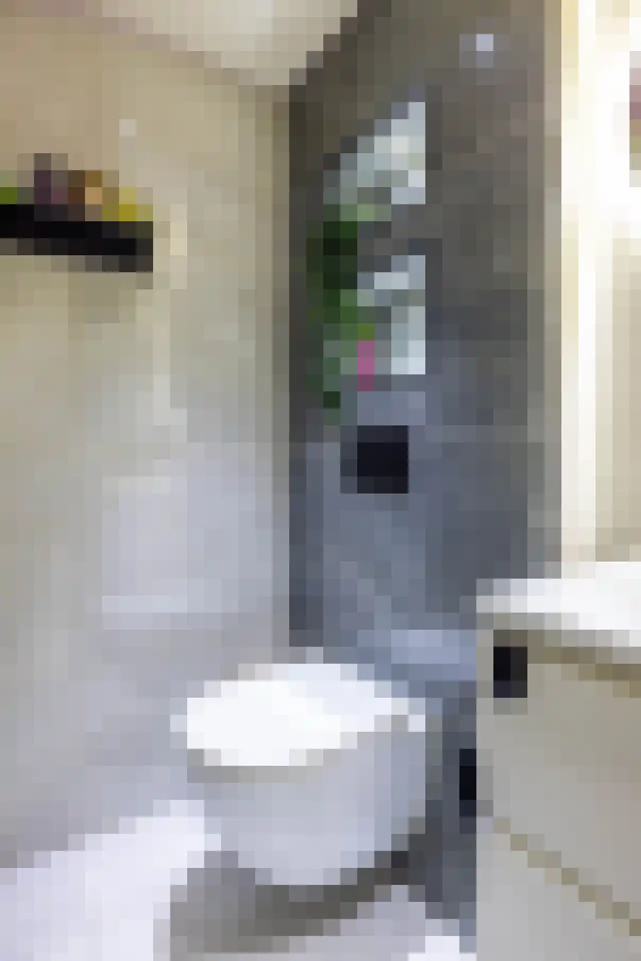 De Lamartinestraat 15 Rotterdam thumbnail 7