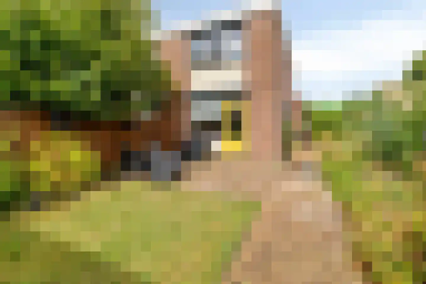 De Lamartinestraat 25 Rotterdam thumbnail 22
