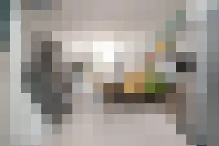 De Lamartinestraat 48 Rotterdam thumbnail 10