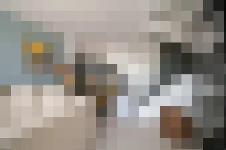 De Lamartinestraat 48 Rotterdam thumbnail 13