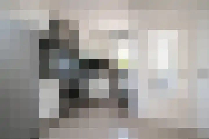 De Lamartinestraat 48 Rotterdam thumbnail 16