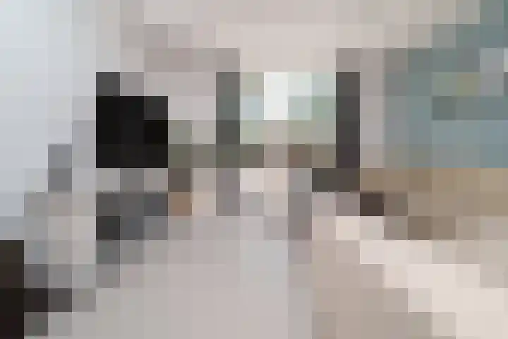De Lamartinestraat 48 Rotterdam thumbnail 7