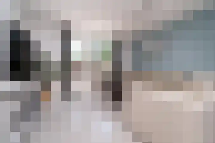 De Lamartinestraat 48 Rotterdam thumbnail 8
