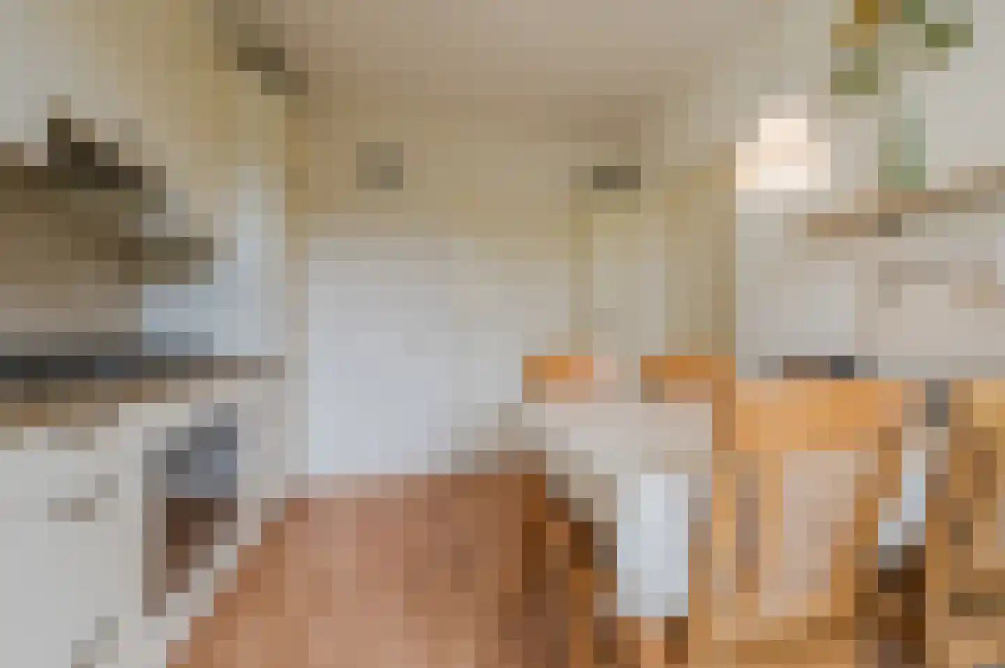 de Lammert 1 Geldrop thumbnail 16