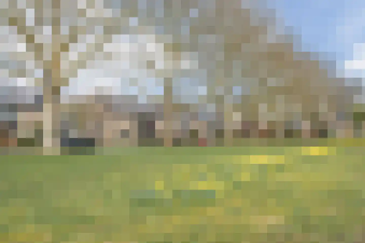 de Lammert 1 Geldrop foto 3