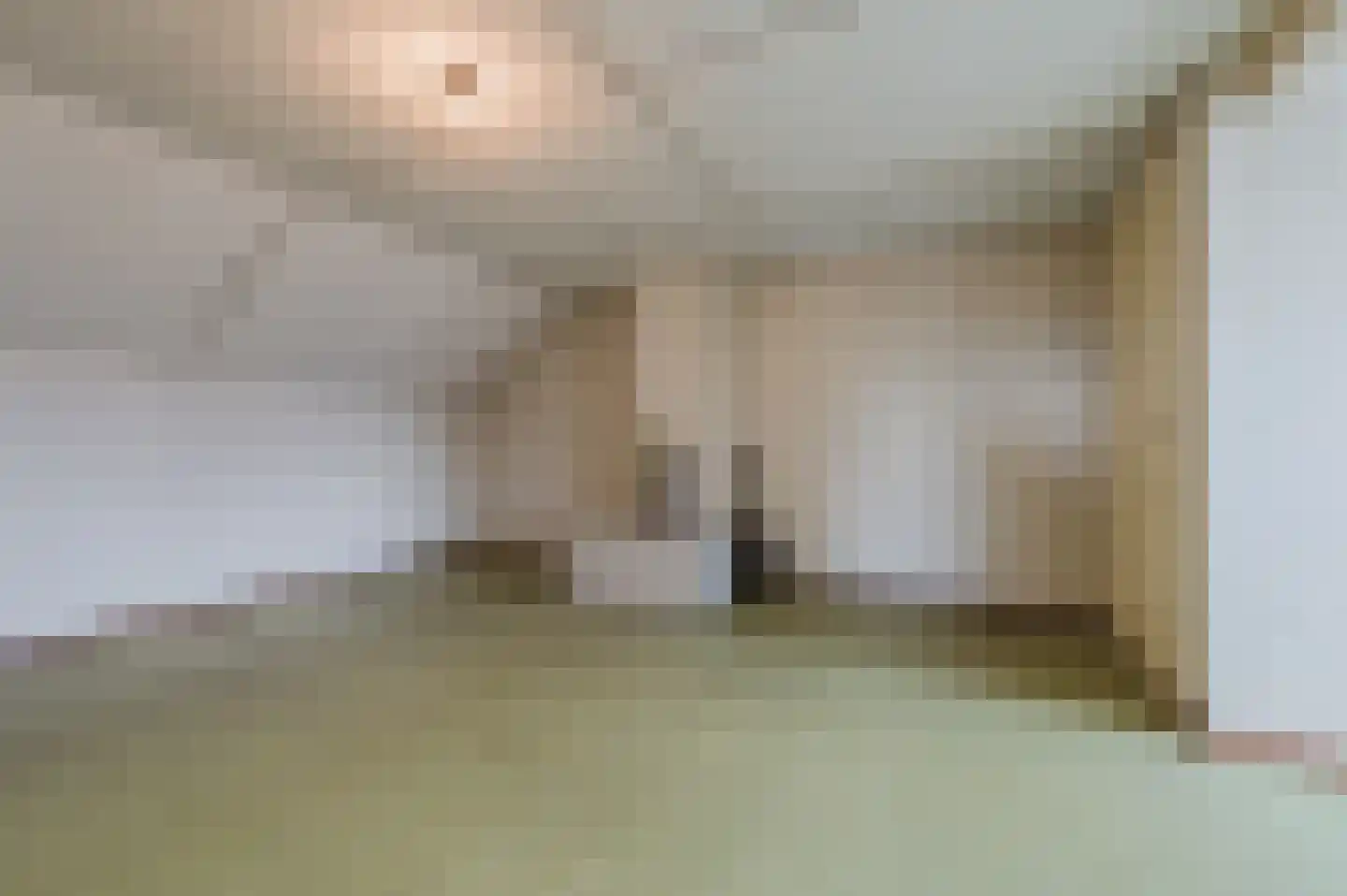 de Lammert 1 Geldrop thumbnail 36