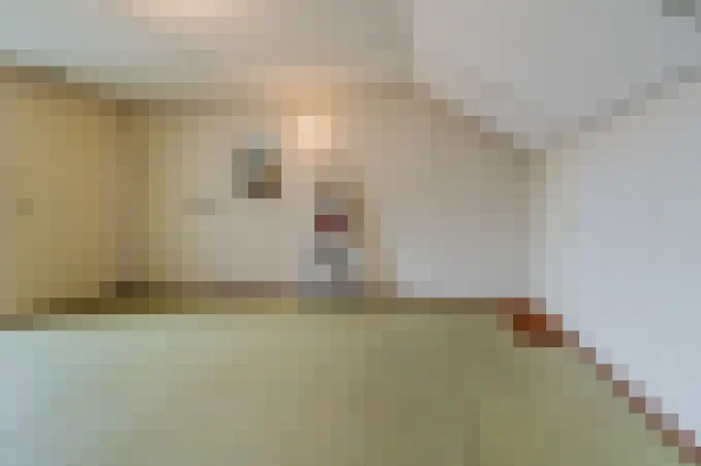 de Lammert 1 Geldrop thumbnail 38