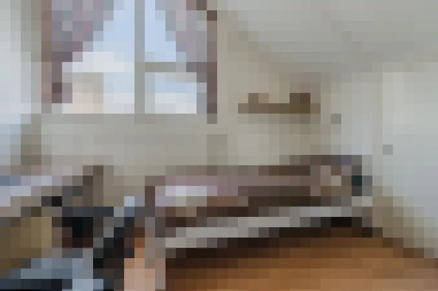 de Lammert 1 Geldrop thumbnail 40