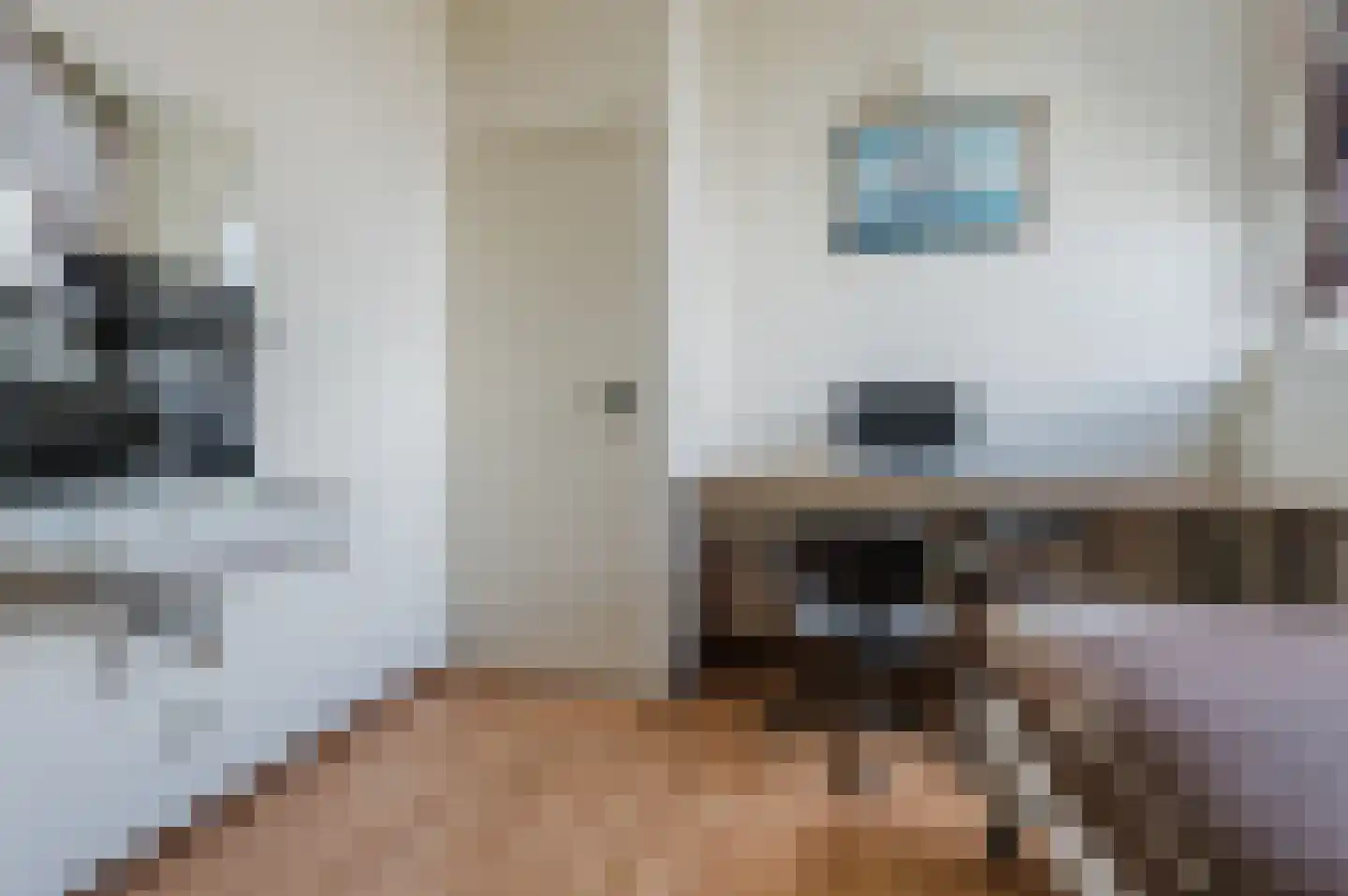 de Lammert 1 Geldrop thumbnail 41
