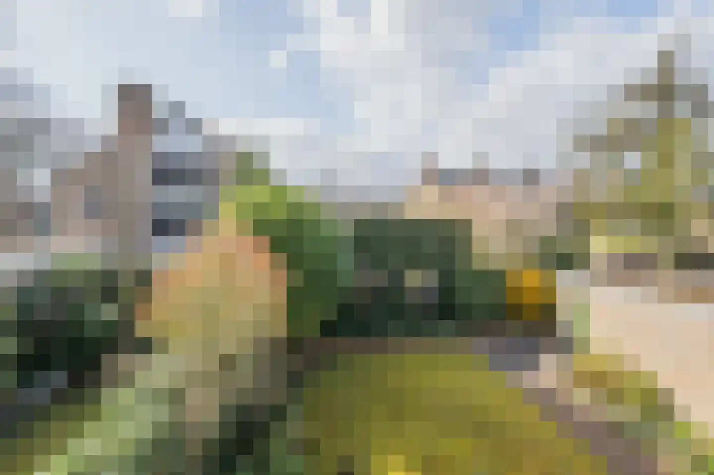 de Lammert 1 Geldrop thumbnail 42