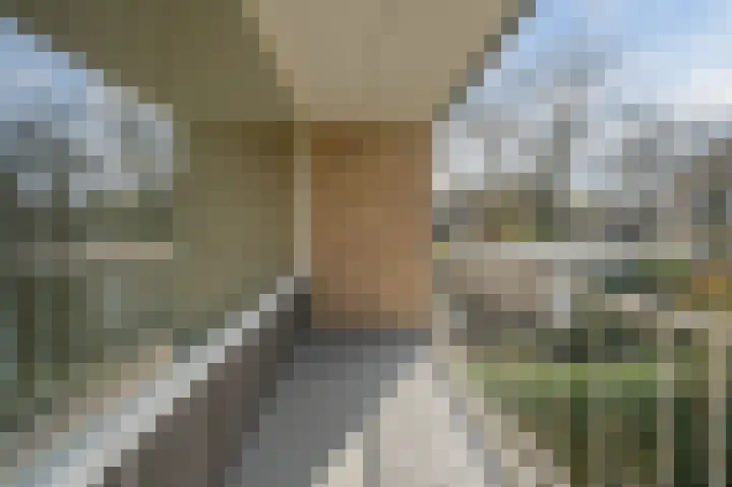 de Lammert 1 Geldrop thumbnail 44
