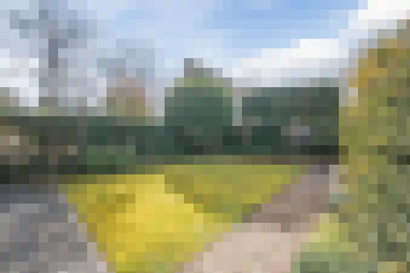 de Lammert 1 Geldrop thumbnail 49