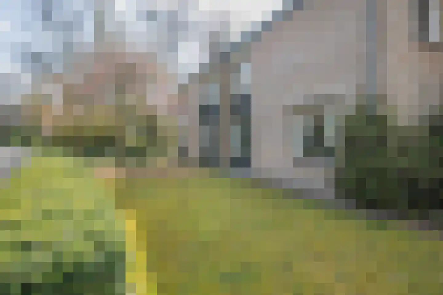 de Lammert 1 Geldrop thumbnail 50