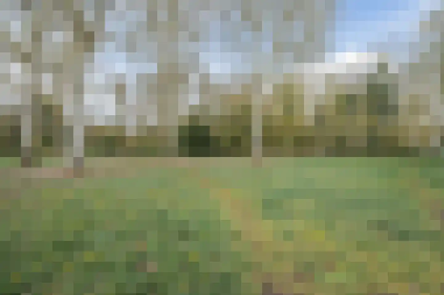 de Lammert 1 Geldrop thumbnail 59