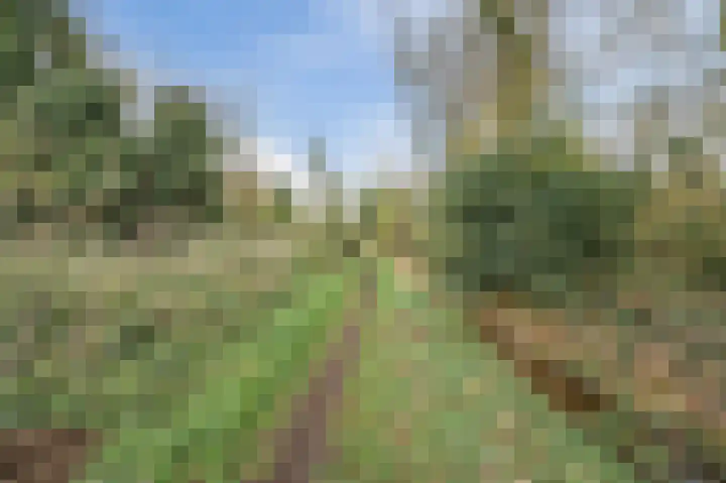 de Lammert 1 Geldrop thumbnail 60