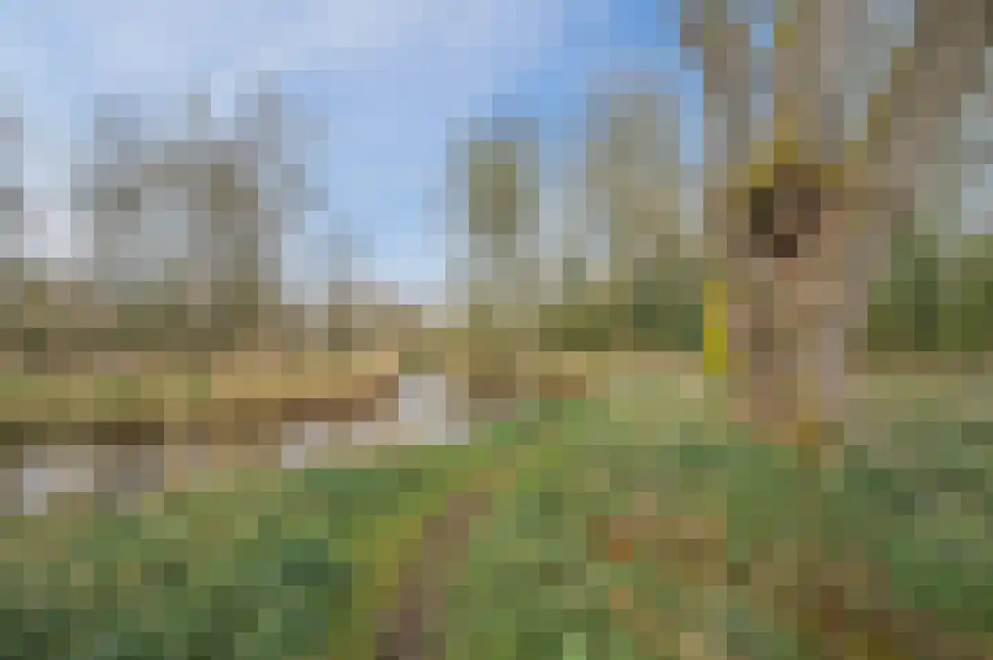 de Lammert 1 Geldrop thumbnail 61