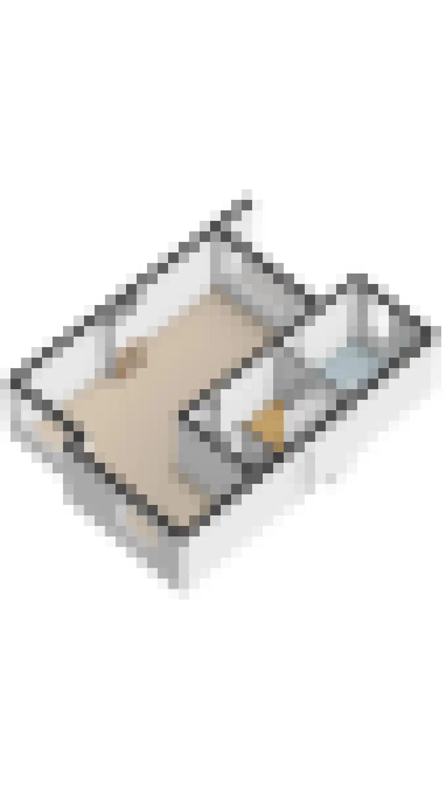 de Lammert 1 Geldrop thumbnail 66