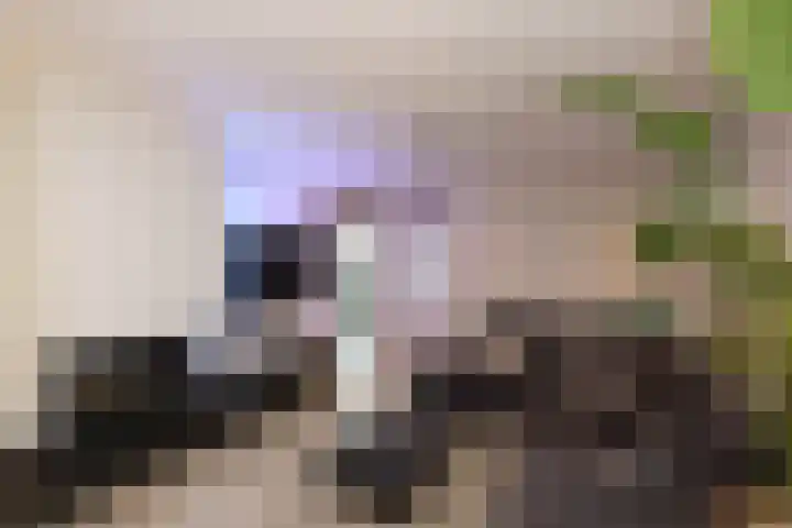 De Landauer 30 Biddinghuizen thumbnail 10
