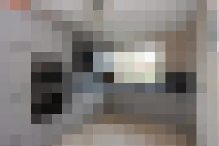 De Landauer 30 Biddinghuizen thumbnail 14