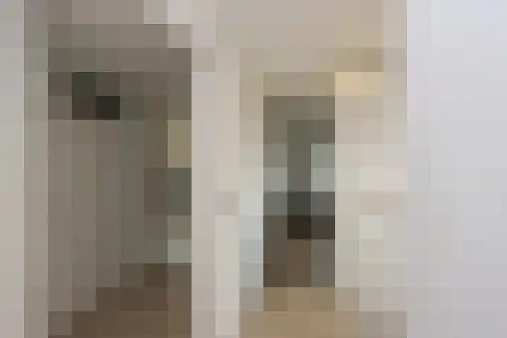 De Landauer 30 Biddinghuizen thumbnail 19