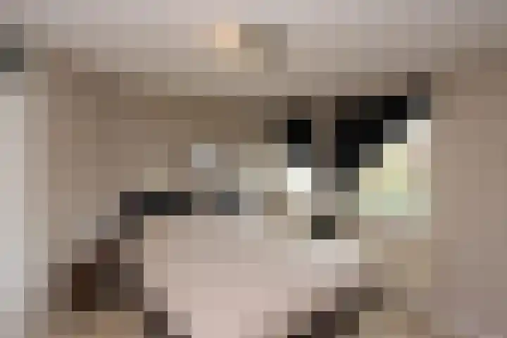De Landauer 30 Biddinghuizen thumbnail 22