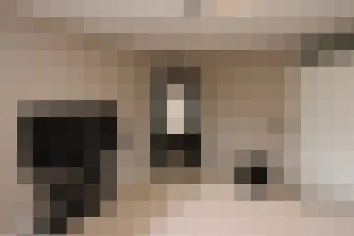 De Landauer 30 Biddinghuizen thumbnail 23