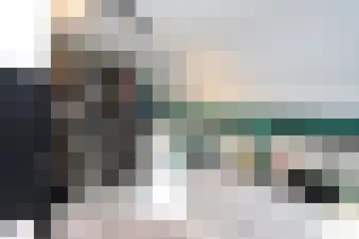 De Landauer 30 Biddinghuizen thumbnail 25