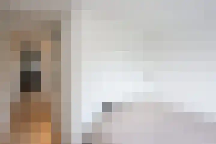 De Landauer 30 Biddinghuizen thumbnail 29