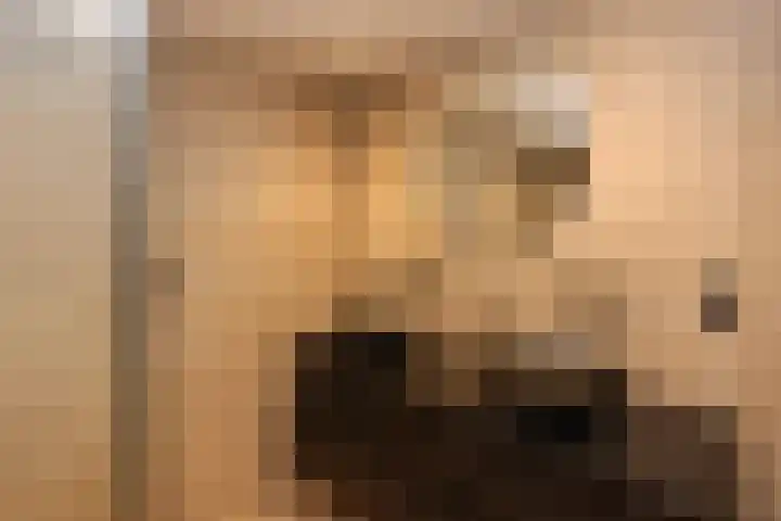 De Landauer 30 Biddinghuizen thumbnail 30