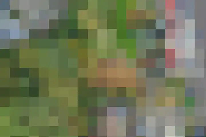 De Landauer 30 Biddinghuizen thumbnail 33