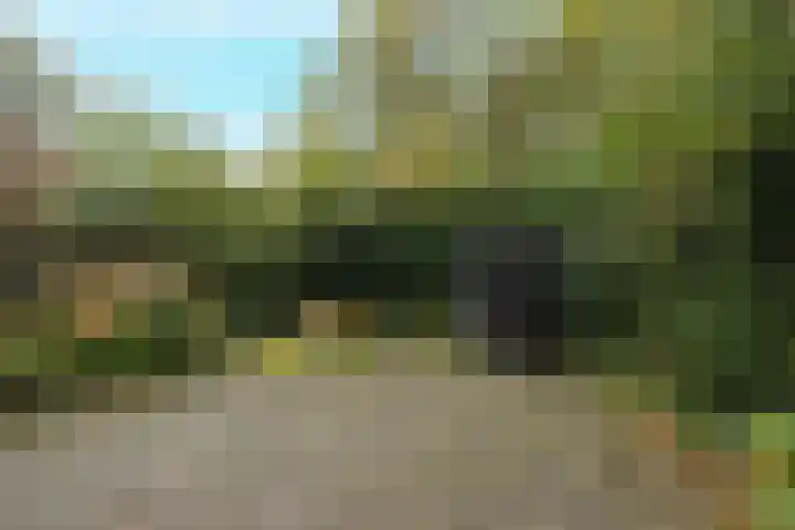 De Landauer 30 Biddinghuizen thumbnail 36