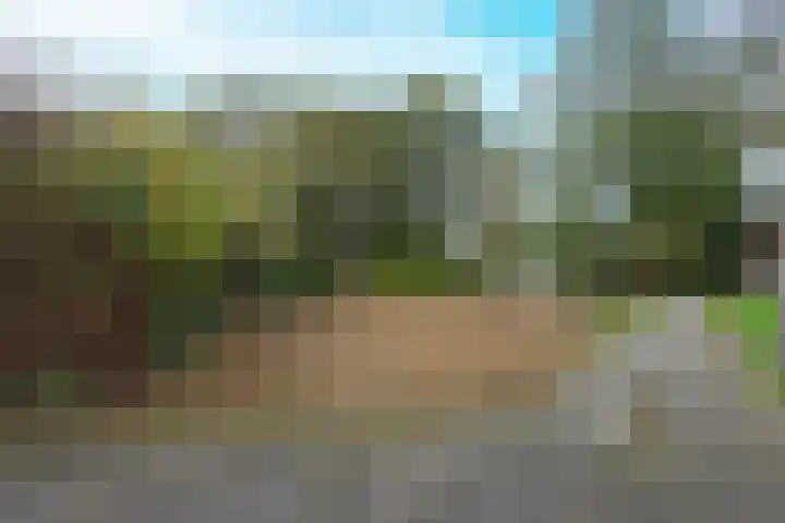 De Landauer 30 Biddinghuizen thumbnail 38