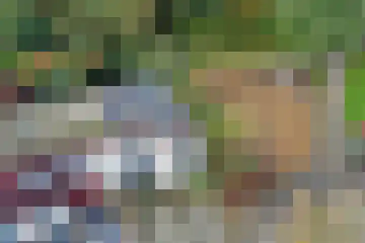 De Landauer 30 Biddinghuizen thumbnail 5