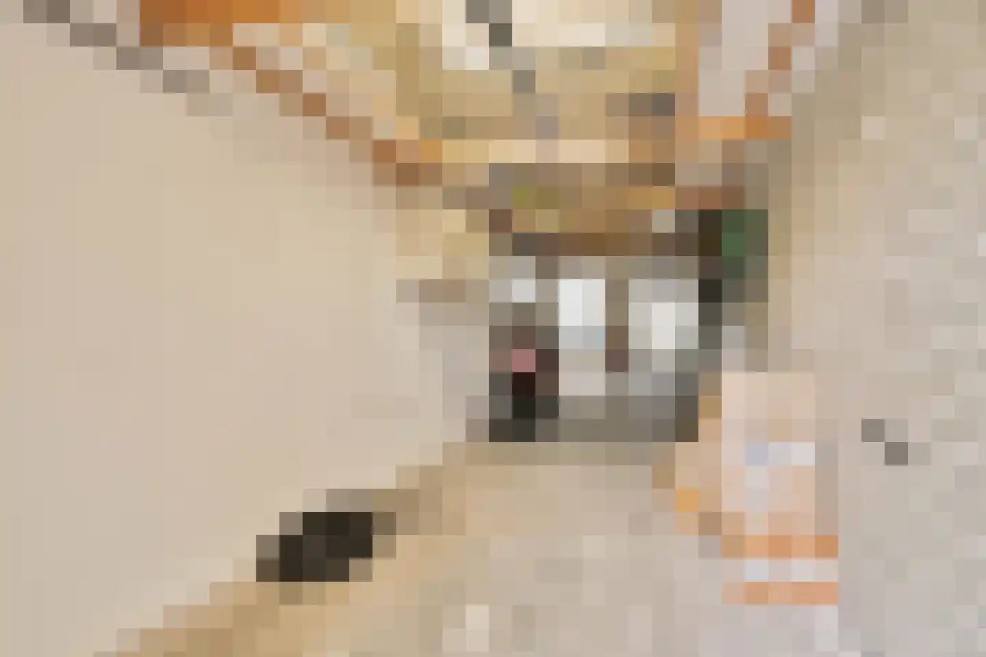 De Landauer 56 Biddinghuizen thumbnail 26