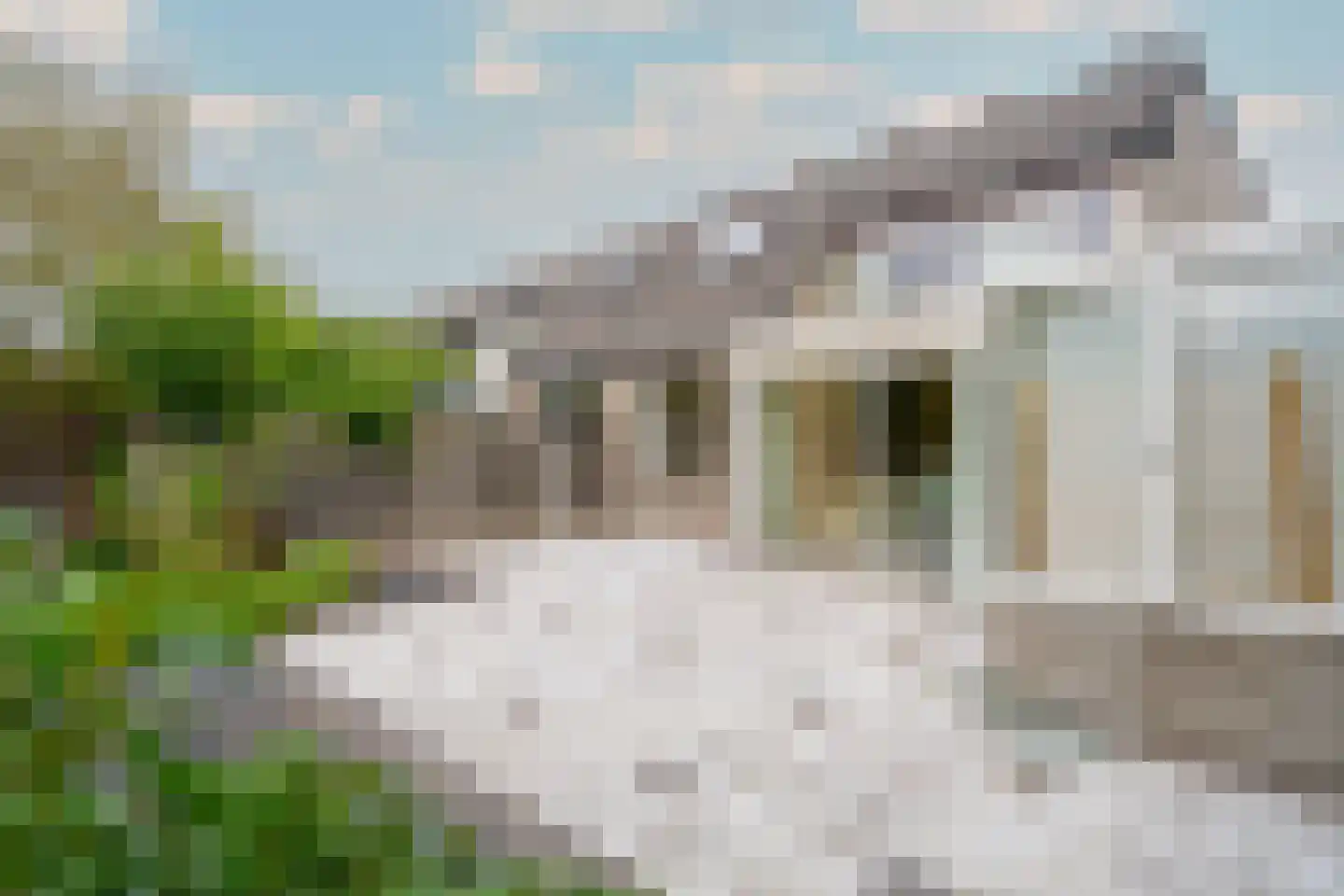 De Landauer 56 Biddinghuizen thumbnail 28