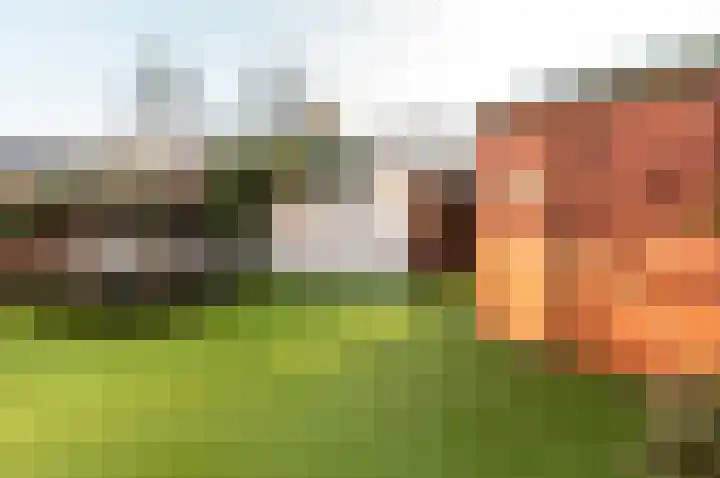 De Landauer 68 Biddinghuizen thumbnail 4