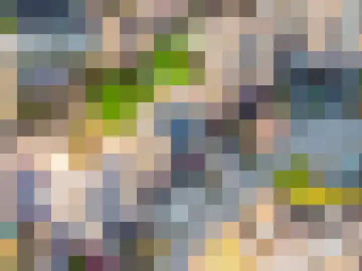 De Landauer 68 Biddinghuizen thumbnail 5