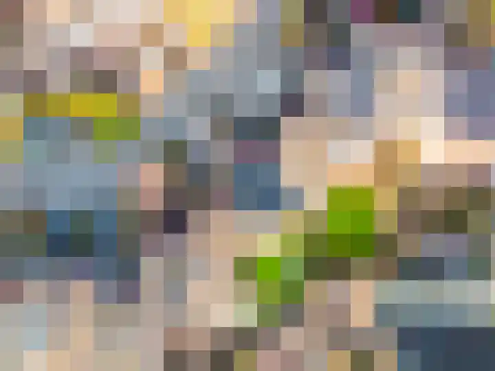 De Landauer 68 Biddinghuizen thumbnail 50