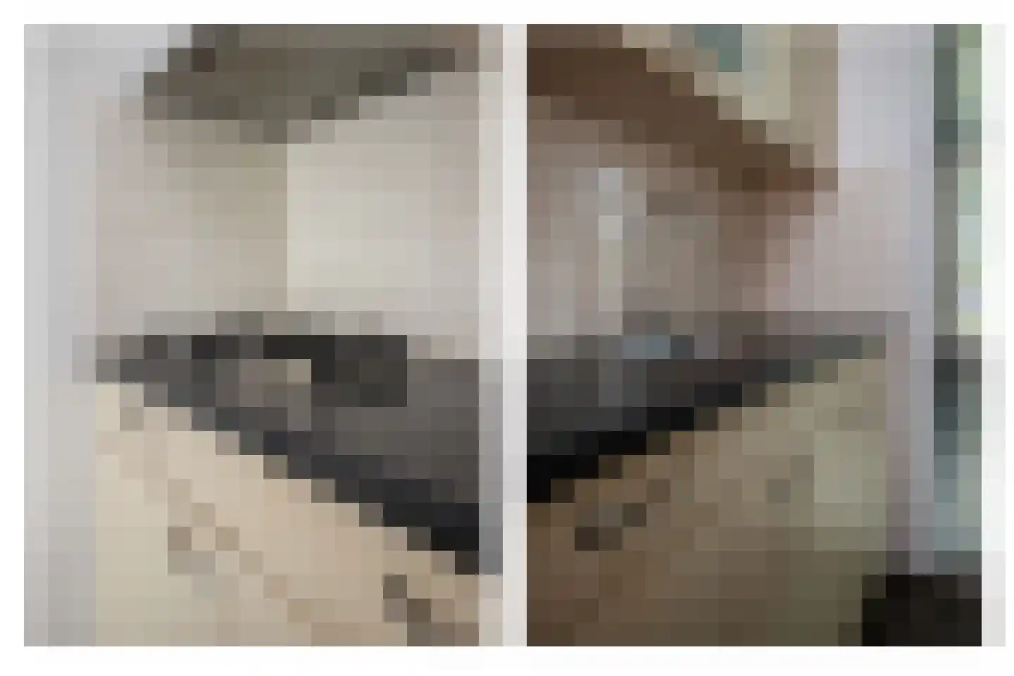 De Landbouw 1 Hoogkarspel thumbnail 11