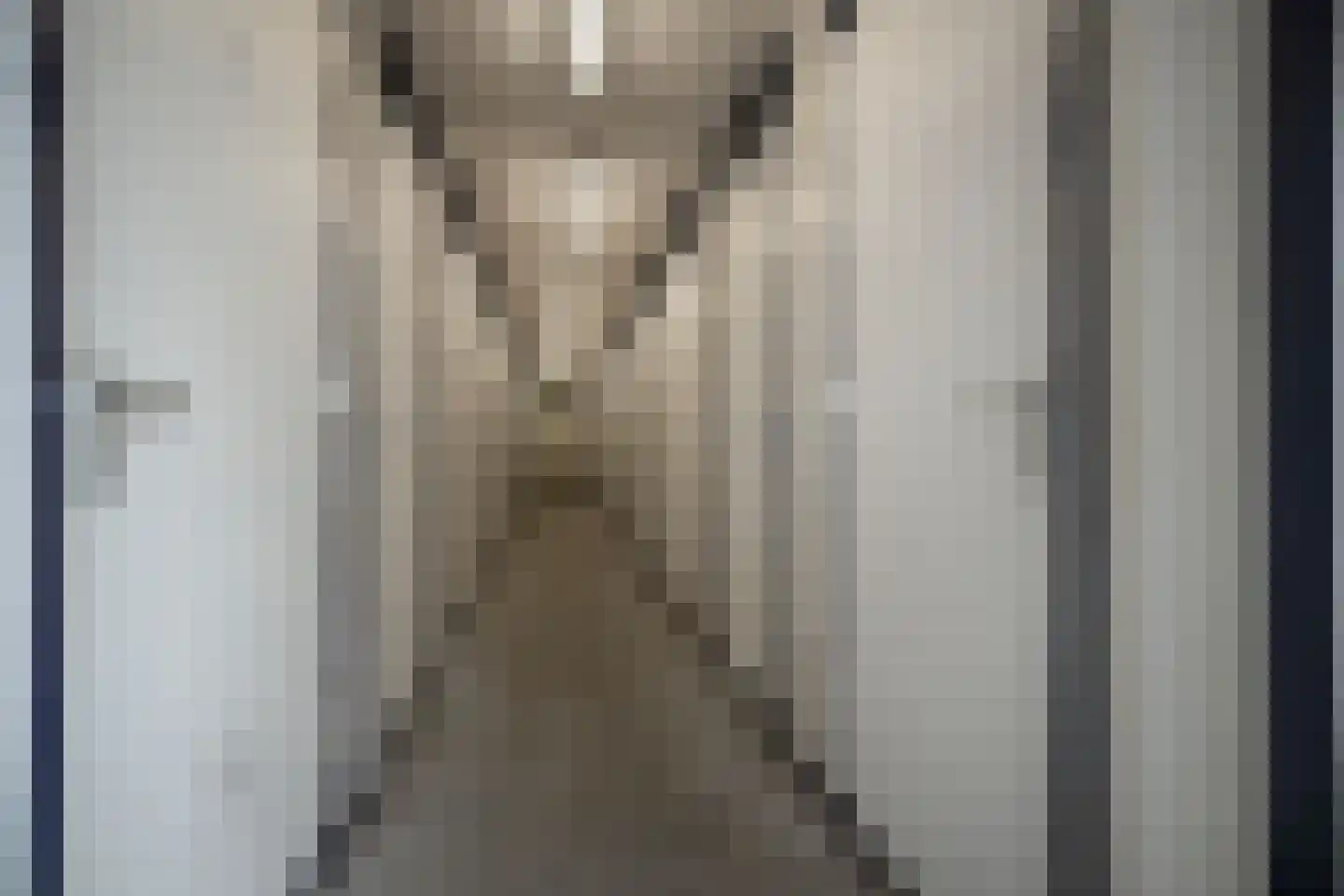 De Landbouw 1 Hoogkarspel thumbnail 23