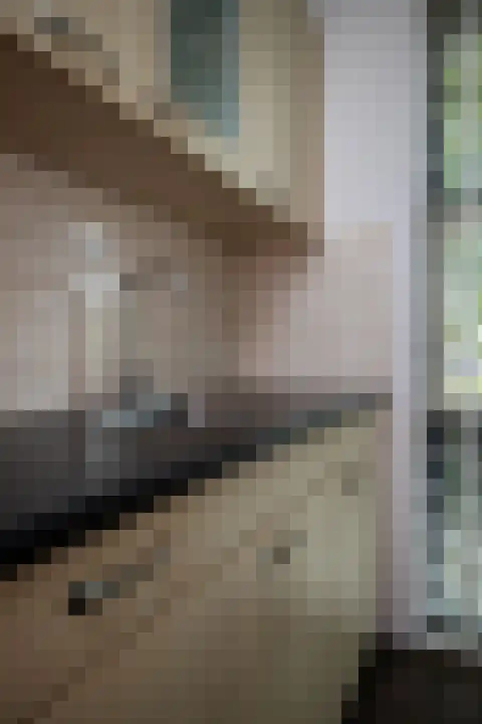 De Landbouw 1 Hoogkarspel thumbnail 36