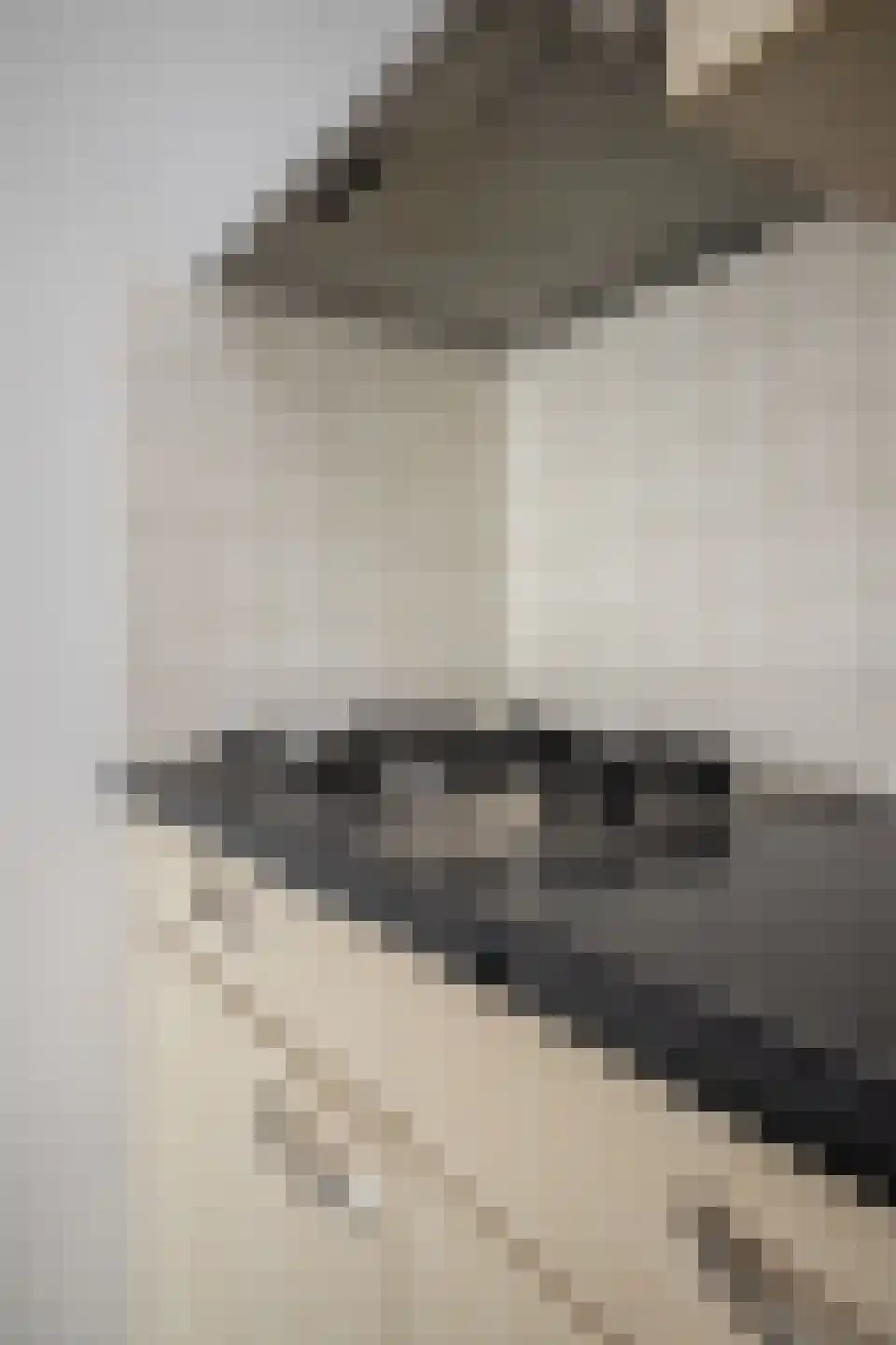 De Landbouw 1 Hoogkarspel thumbnail 37