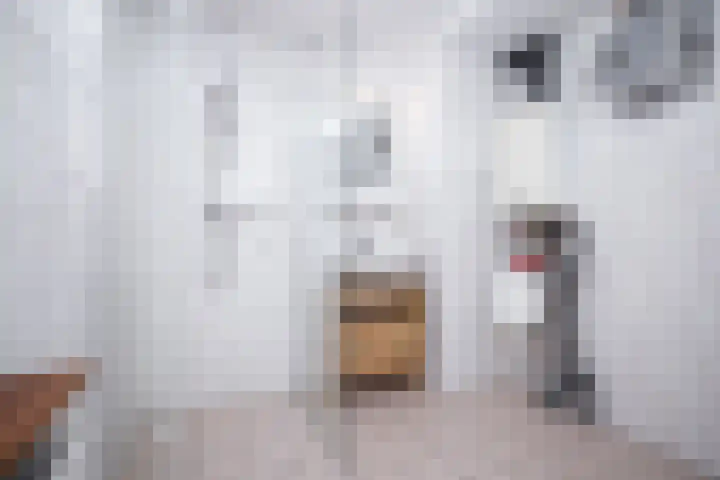 De Landbouw 1 Hoogkarspel thumbnail 4