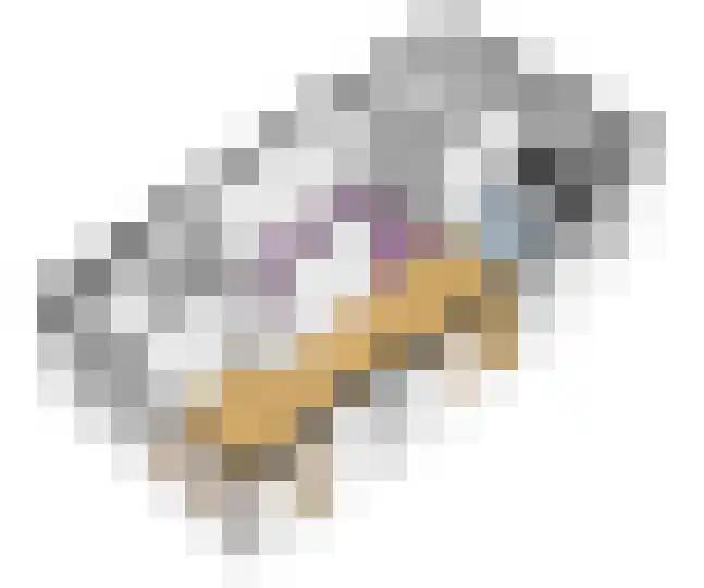 De Landbouw 1 Hoogkarspel thumbnail 42