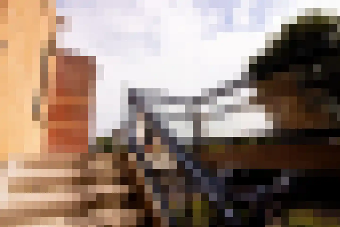 De Landbouw 22 Hoogkarspel thumbnail 10