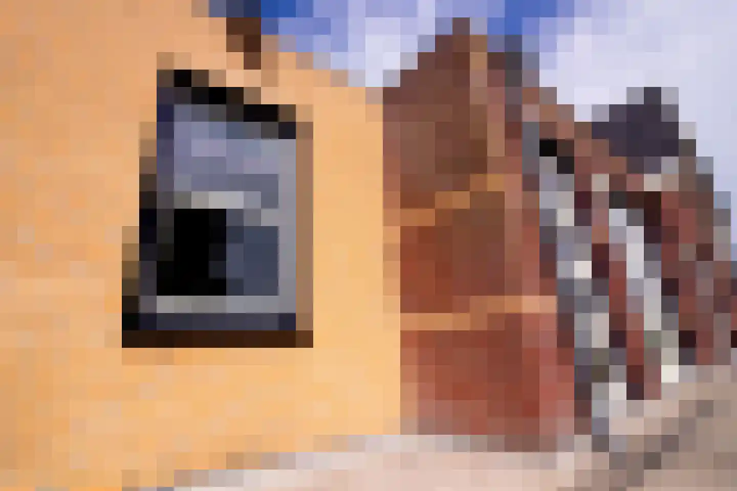 De Landbouw 22 Hoogkarspel thumbnail 13